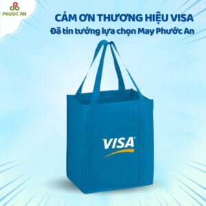 tui-vai-in-logo-visa